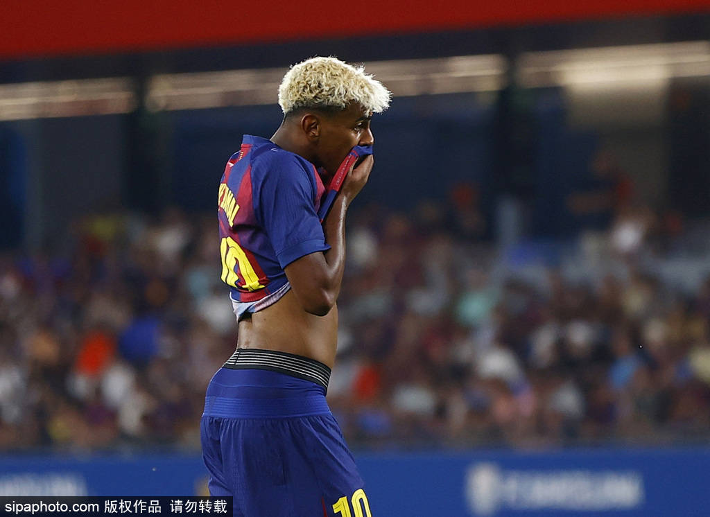 澳门正版四不像,探索与解析,澳门正版四不像,深入探索与解析