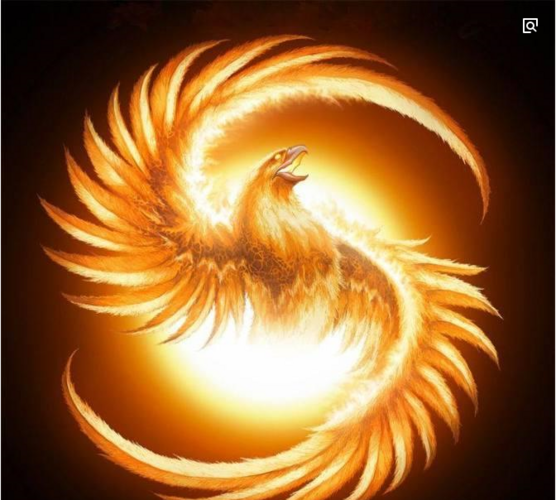 揭秘最准一码一肖,揭秘背后的秘密与凤凰网的故事,揭秘一码一肖准确预测背后的秘密与凤凰网关联的故事