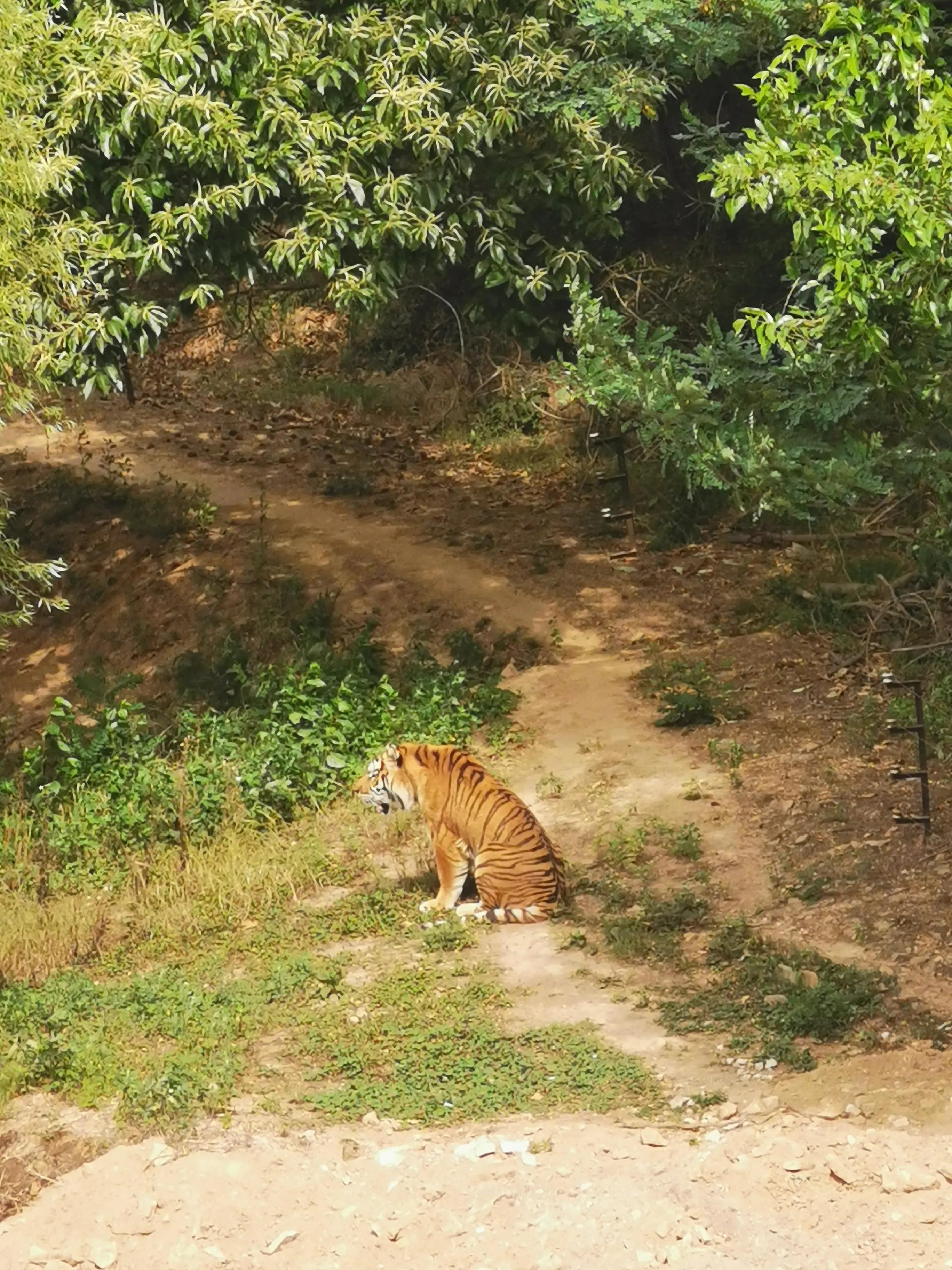 青岛一日游价格表及其丰富体验，青岛一日游价格表与丰富体验之旅