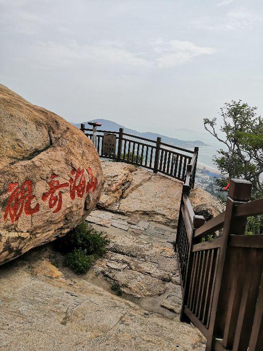 青岛一日游价格表及其丰富体验,青岛一日游价格表与丰富体验之旅