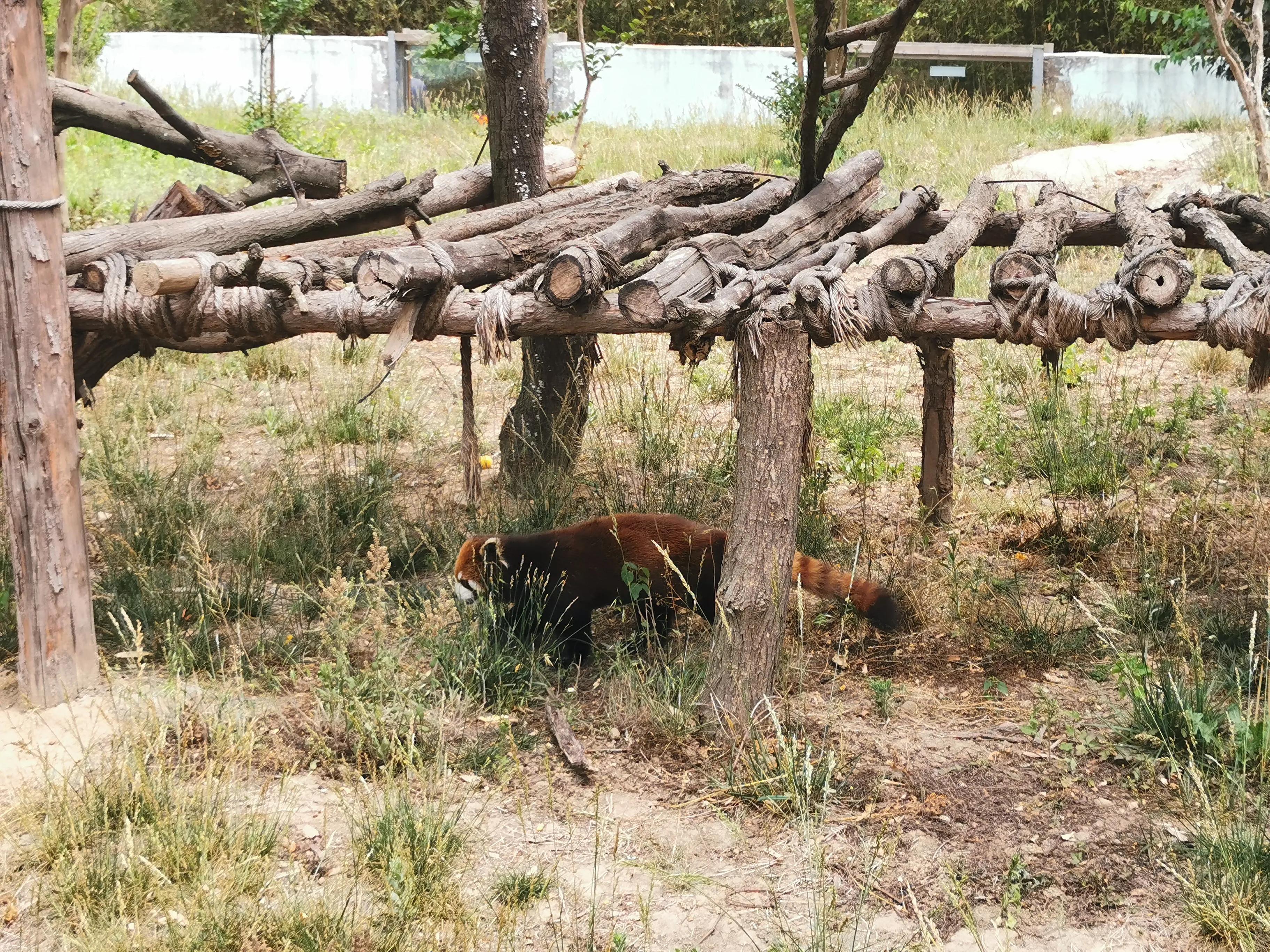青岛一日游价格表及其丰富体验,青岛一日游价格表与丰富体验之旅