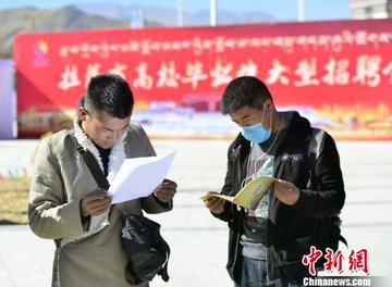 四肖八码期期准精准资料一优势深度解析,四肖八码期期准精准资料优势深度解析