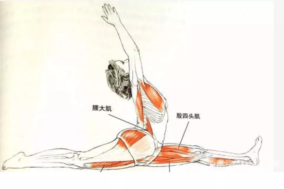 孕妇瑜伽,简单动作助力孕期健康,孕妇瑜伽,简单动作助力孕期健康与舒适