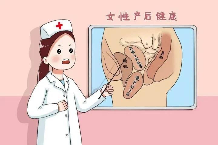 产后修复与产后瑜伽，哪个更适合你？，产后修复与产后瑜伽，哪个更适合产后恢复？