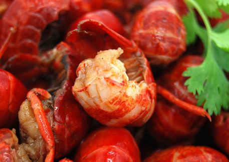 家常美味大龙虾，三种令人垂涎欲滴的做法，家常美味大龙虾，三种诱人做法大揭秘