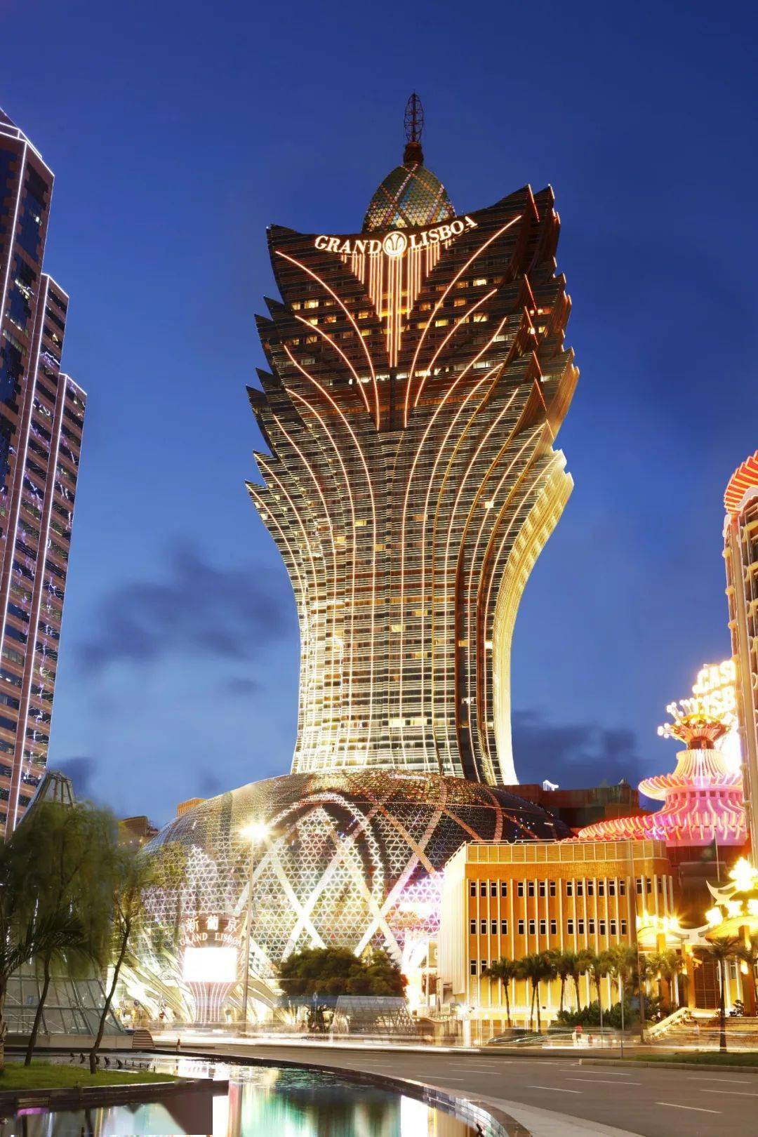 澳门新彩网官方网站,探索与体验,澳门新彩网官方网站,探索与体验之旅