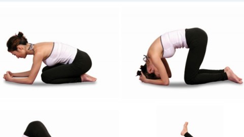 瑜伽视频教程推荐，引领你走进瑜伽世界的优质指南，优质瑜伽视频教程推荐，引领你走进瑜伽世界的入门指南