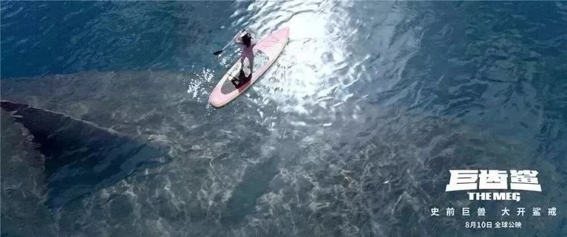 巨齿鲨，海洋霸主的无尽传奇，巨齿鲨，海洋霸主的传奇故事