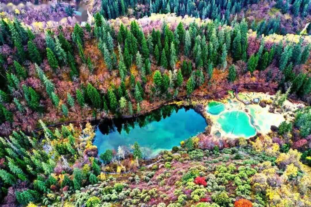 九寨沟门票对老年人有优惠吗？——探寻旅游优惠政策与人文关怀的交融，九寨沟门票对老年人有优惠吗？——探究旅游优惠政策中的老年人文关怀