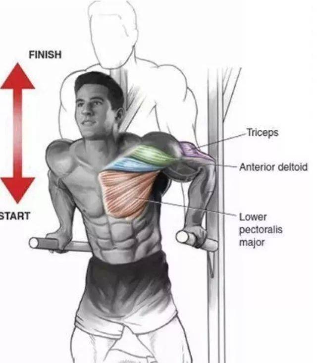 塑造完美身材,锻炼胸肌和腹肌的有效方法,塑造完美身材,锻炼胸肌与腹肌的高效方法