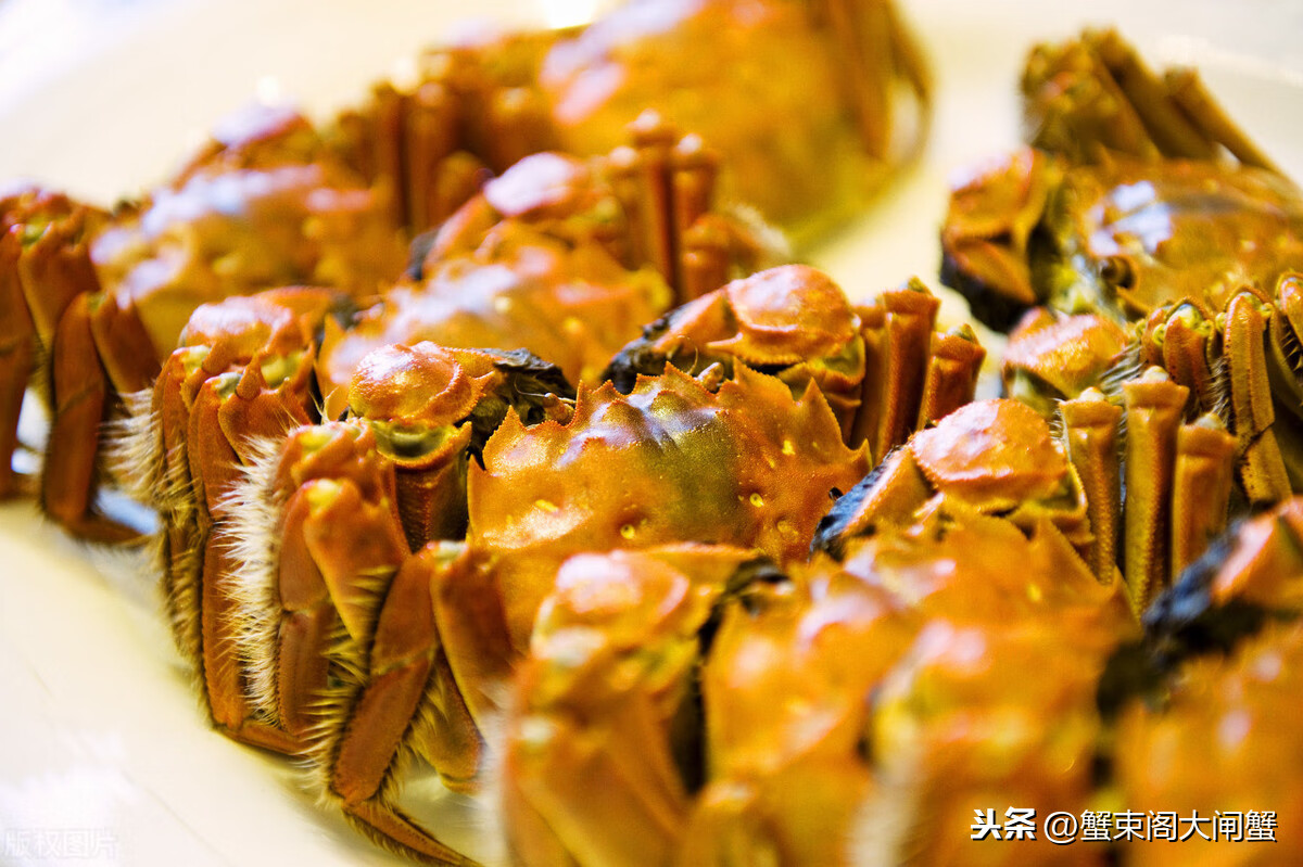 大闸蟹蒸多久最佳时间,大闸蟹蒸的最佳时间,掌握蒸制大闸蟹的完美时刻!