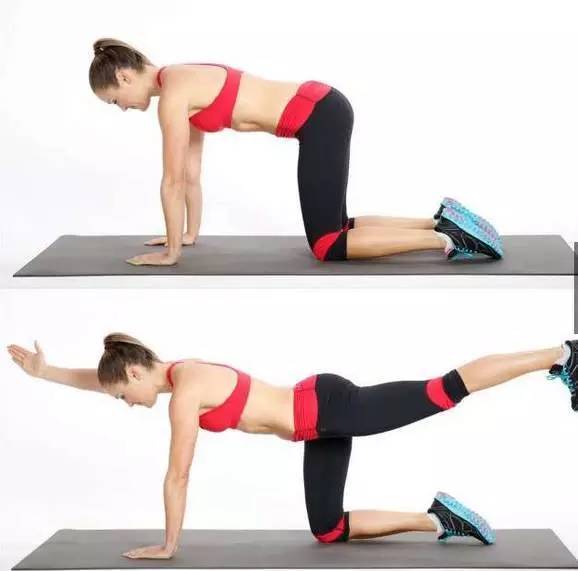 哈他瑜伽24体式口令,探索瑜伽之美的全面指南,哈他瑜伽24体式口令,全面探索瑜伽之美的指南