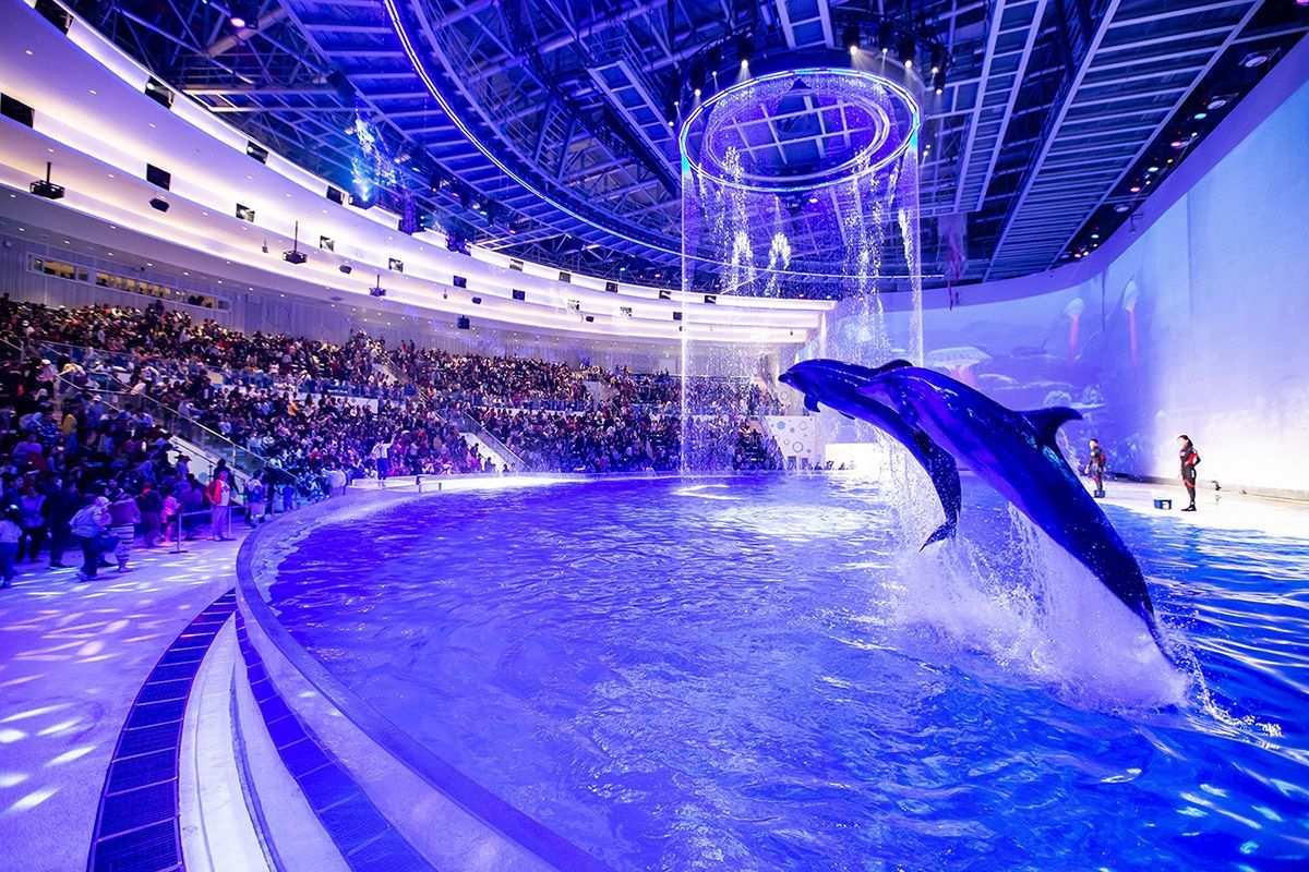 上海海洋海昌海洋公园,探秘奇妙的海洋世界,探秘上海海洋海昌海洋公园的奇妙海洋世界