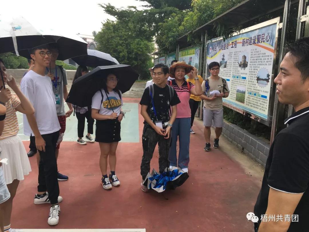 澳门精准四肖期期准免费公式,揭秘亮点与探索价值,澳门精准四肖期期准免费公式,揭秘亮点与探索其独特价值