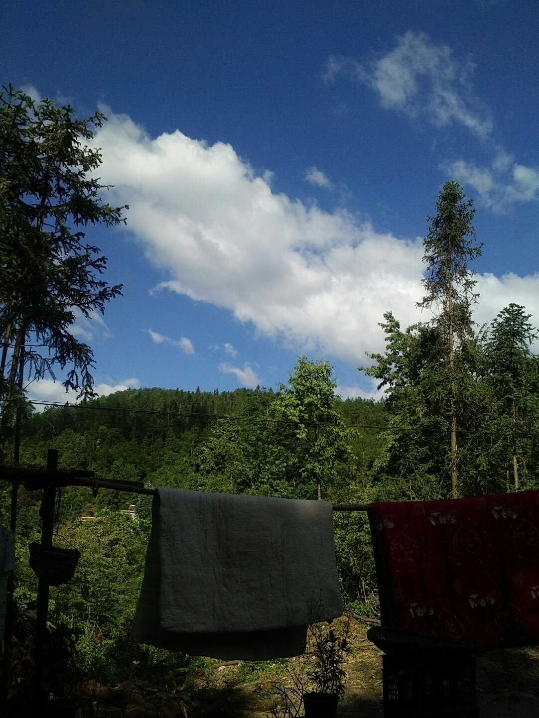 建始天气预报及气象变化分析,建始天气预报与气象变化深度解析