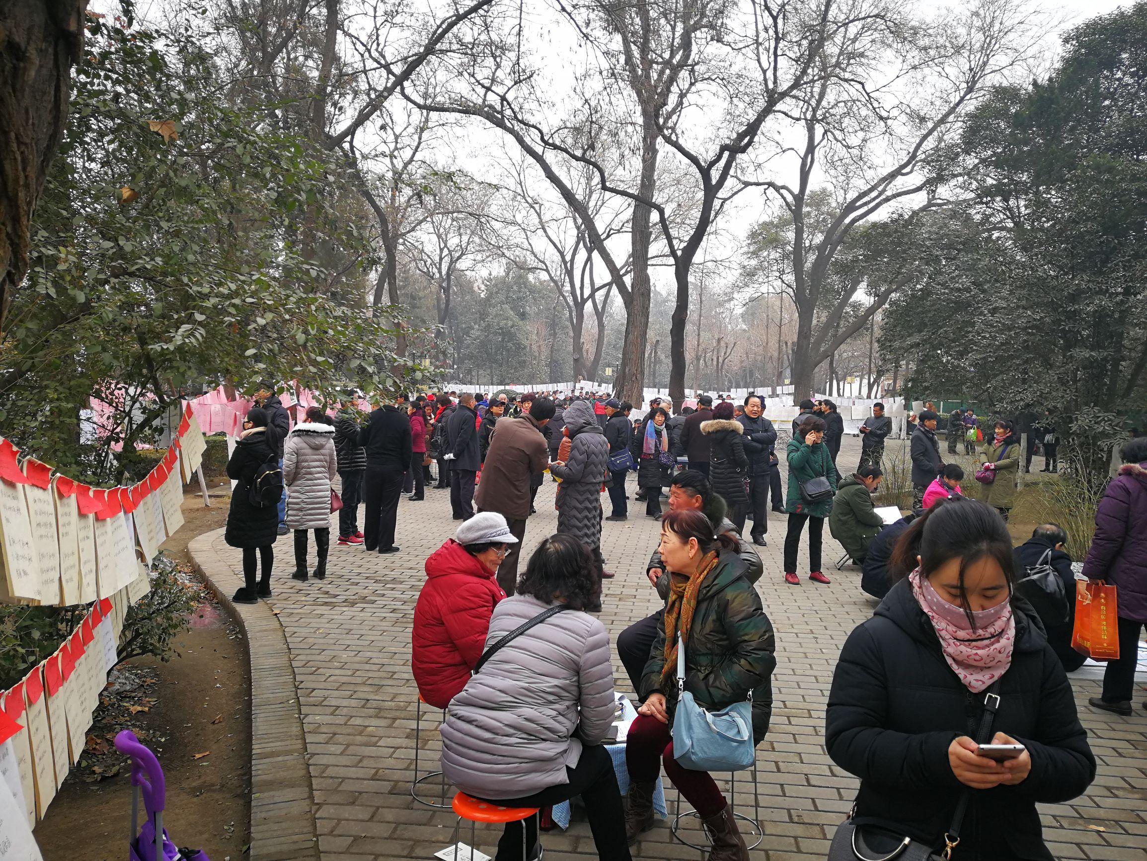 西安百姓网同城征婚,寻找缘分,共筑美好未来,西安百姓网同城征婚交友,共筑美好未来缘分之旅