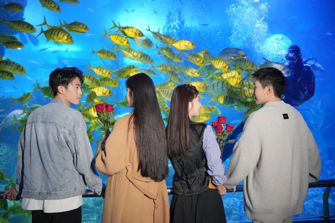 青岛海底世界图片大全,探索神秘的海底奇观,青岛海底世界探索之旅,神秘海底奇观全景图片展示