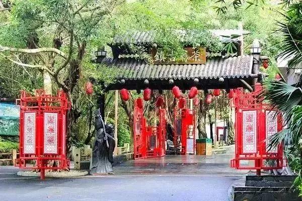 东部华侨城门票包括哪些体验？一篇文章带你了解，东部华侨城门票涵盖的多元体验解析，一篇文章带你深入了解