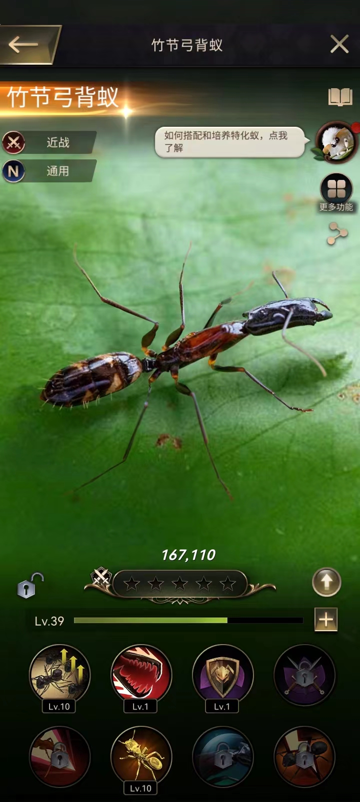 BT蚂蚁,探索未知世界的微小力量,BT蚂蚁,微小力量探索未知世界