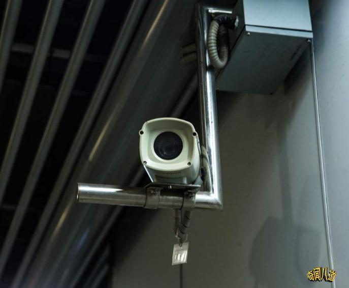 新澳今日最新资料深度解析,新澳今日最新资料深度解读