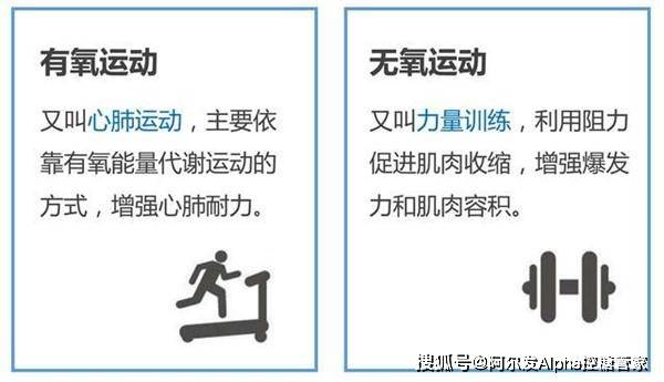 无氧运动的特点及其重要性,无氧运动的特点与重要性解析