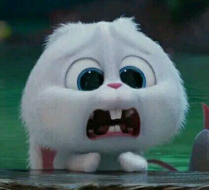 单身狗图片表情包,网络时代的情感表达新方式,网络时代新宠,单身狗表情包,情感表达的新方式