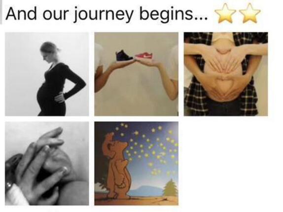 揭秘撒贝宁妻子李白的个人资料与简历,撒贝宁妻子李白个人资料与简历揭秘