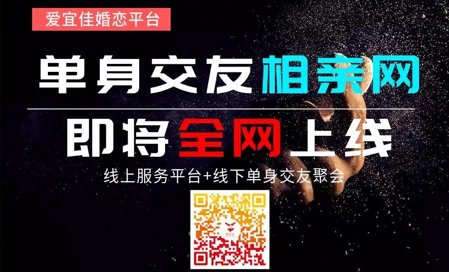 免费交友相亲网，连接心灵的新桥梁，免费交友相亲网，心灵连接的新桥梁