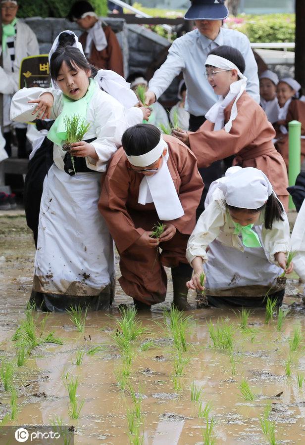 韩国女星走红毯意外摔倒,意外之中的焦点与反思,韩国女星走红毯意外摔倒,焦点与反思