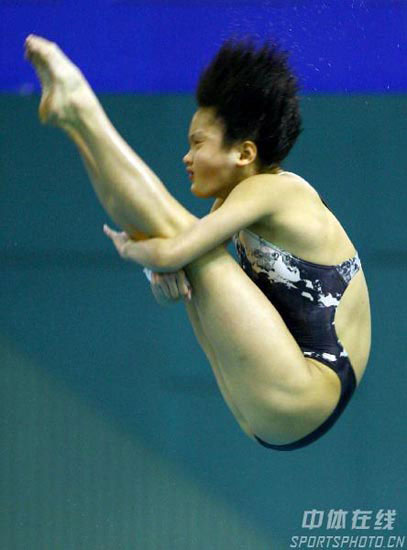 陈若琳个人资料简介——跳水界的璀璨明珠,陈若琳,跳水界的璀璨明珠个人资料简介