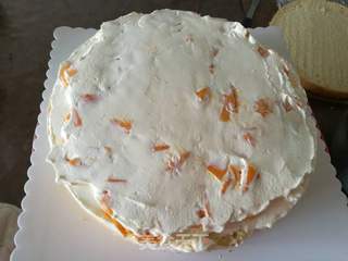 蛋糕的制作方法和步骤,蛋糕制作详解,一步步教你制作美味蛋糕