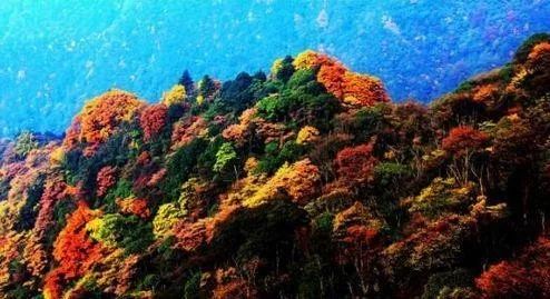 重庆金佛山最佳旅游月份指南,重庆金佛山最佳旅游月份攻略指南