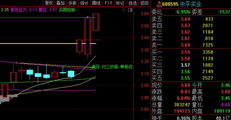 ST中孚实业股吧深度解析,ST中孚实业股吧全面深度解析