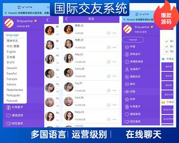国外婚恋交友软件,连接全球爱情的桥梁,全球爱情桥梁,国外婚恋交友软件大揭秘