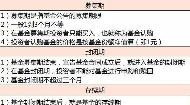 基金新手入门症状解析与应对策略，基金新手入门常见问题解析及应对策略