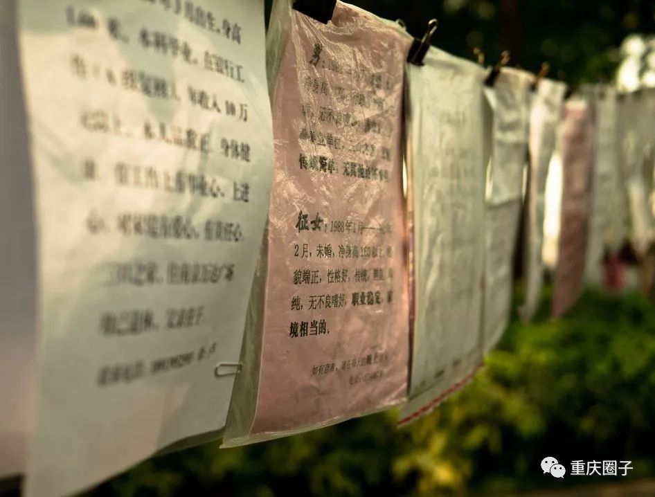 重庆免费相亲，探寻现代都市的情缘之路，重庆免费相亲活动，探寻现代都市的浪漫情缘之路