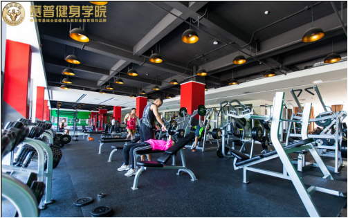 深圳健身学院概览,深圳健身学院全面解析