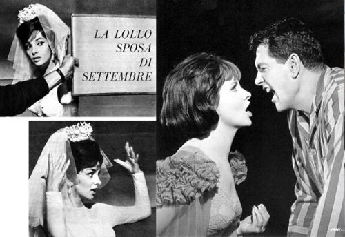 金屋春宵,诗意人生与美好时光,金屋春宵,诗意人生与美好时光交响