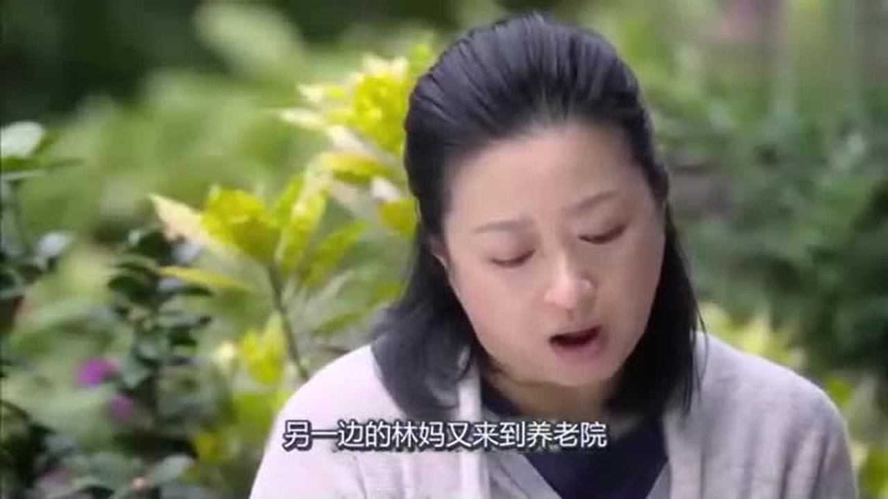 双亲之爱,两个母亲的独特力量与温暖,双亲之爱,两位母亲的独特力量与温暖传递