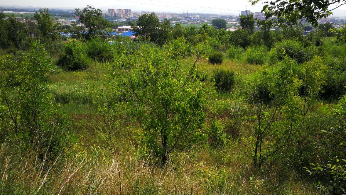 辽宁锦州旅游景点大全排名,辽宁锦州旅游景点大全及排名榜单