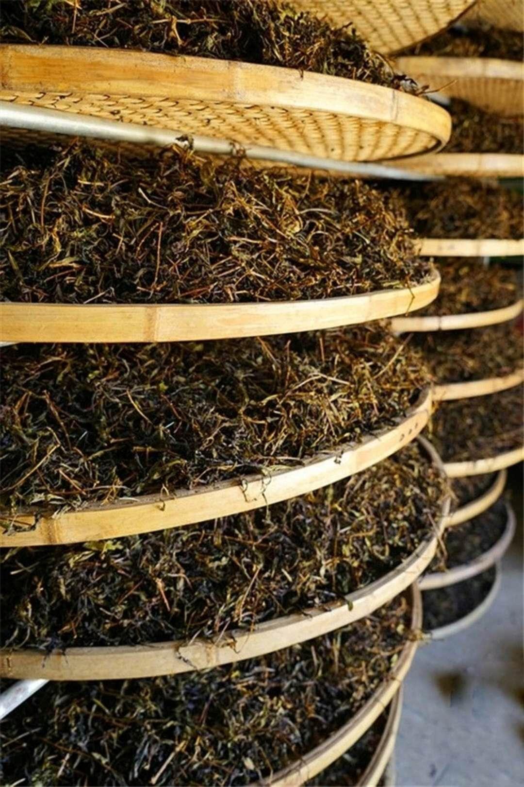 大叔你好坏,大叔摇起来——一首充满魅力的歌曲,大叔魅力尽显,一首独特的大叔摇起来歌曲