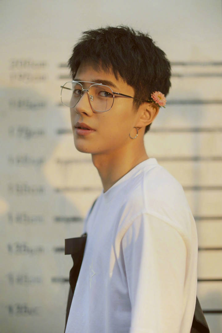 雷佳音老婆翟熙菲简历,一位低调而引人注目的女性,雷佳音妻子翟熙菲简历,低调中的亮眼风采