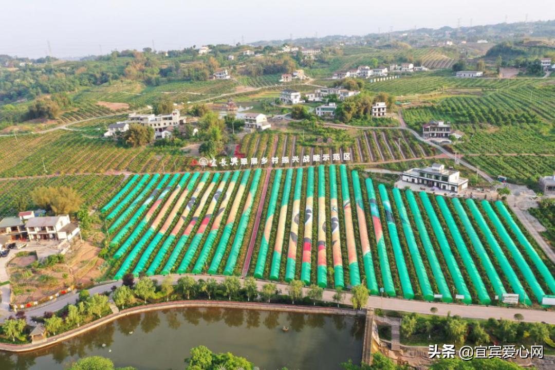 宜宾旅游景点大全,探索三江之交的魅力所在,宜宾三江之交的魅力探索,旅游景点大全