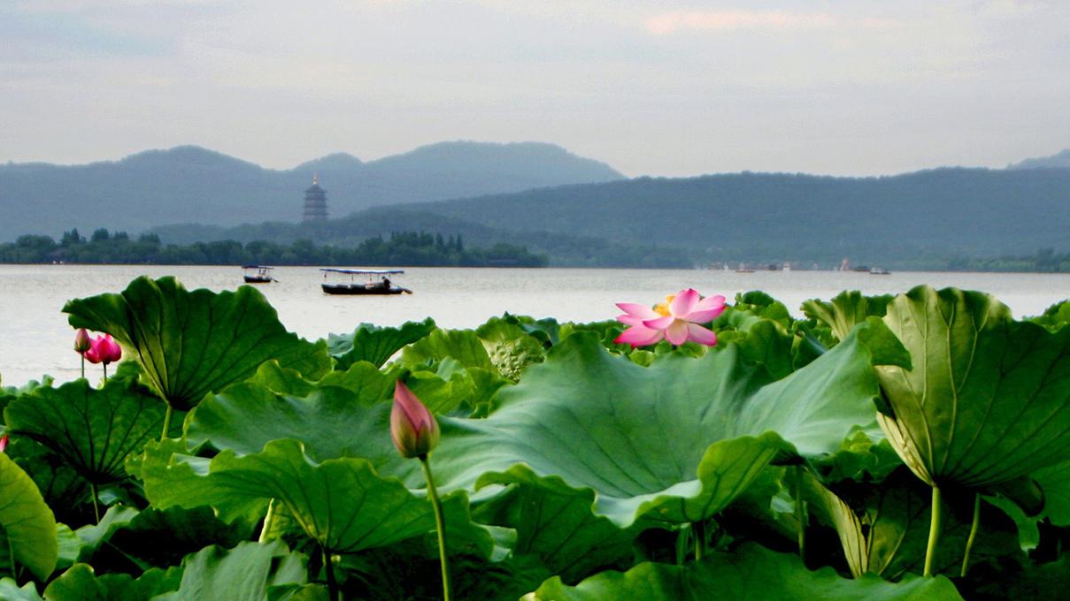 宜宾旅游景点大全,探索三江之交的魅力所在,宜宾三江之交的魅力探索,旅游景点大全