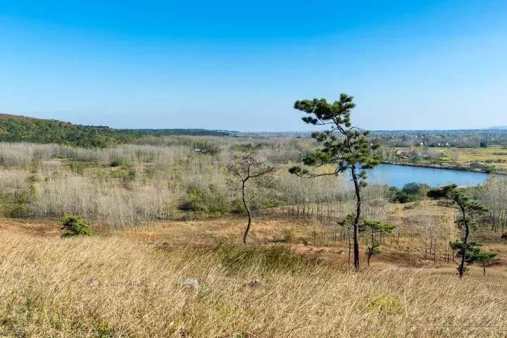 芬兰十大著名景点，探索北欧之魅的绝佳去处，芬兰十大著名景点，北欧魅力的绝佳探索之地