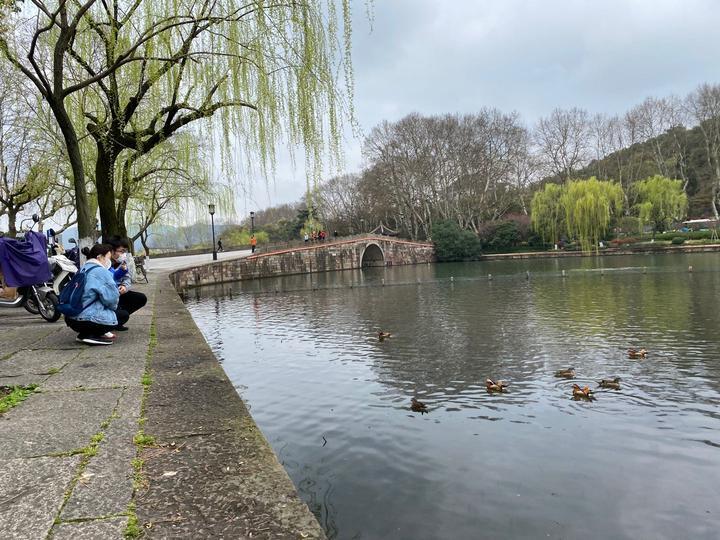 杭州免费旅游景点有哪些景点，杭州免费旅游景点大揭秘，探索城市中的免费美景