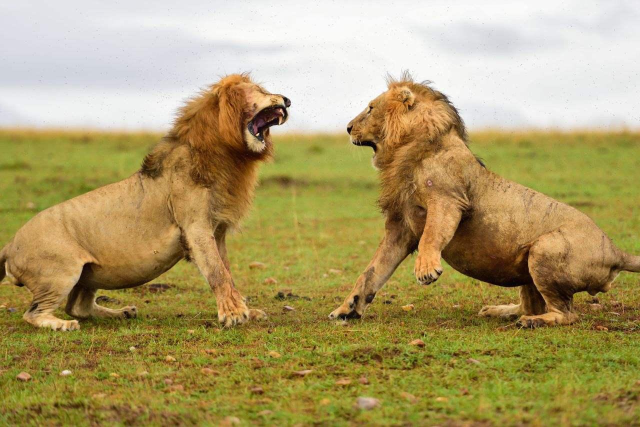 单身与相亲,群名的背后故事,单身与相亲,群名的背后故事探索