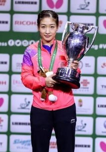 揭秘丁宁的丈夫身份，一段未知的情缘故事，揭秘丁宁丈夫身份，一段神秘的情缘故事