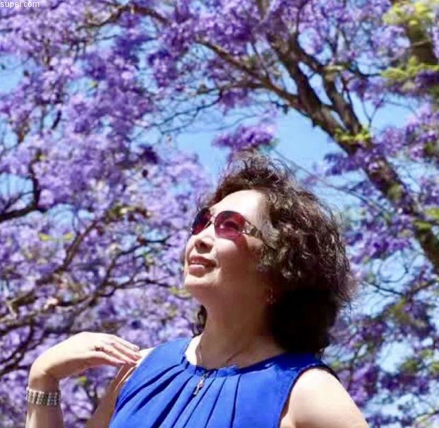 悉尼速配征婚网，探索现代都市的婚恋新风尚，悉尼速配征婚网，现代都市婚恋新风尚探索