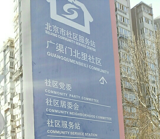 北京论坛社区,连接思想,构建未来,北京论坛社区,连接思想,共创未来